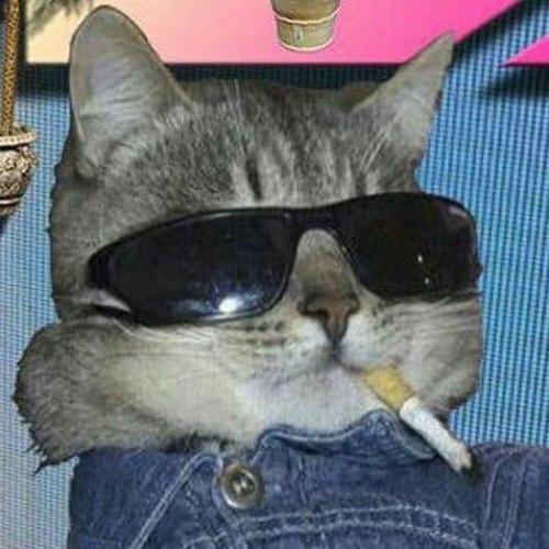 สมาชิกหมายเลข 6136444