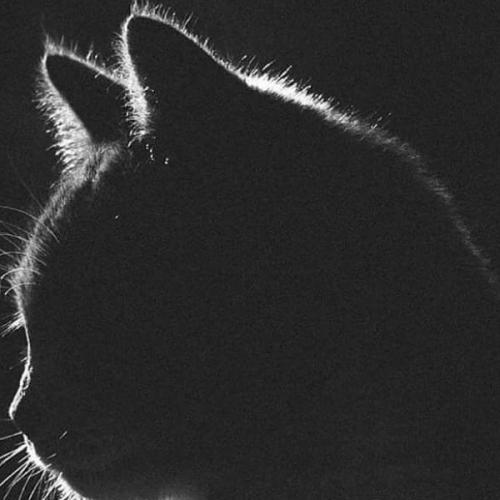 สมาชิกหมายเลข 6136807