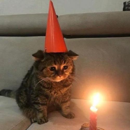 สมาชิกหมายเลข 6762400