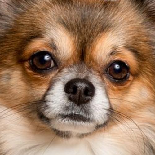 สมาชิกหมายเลข 6762502