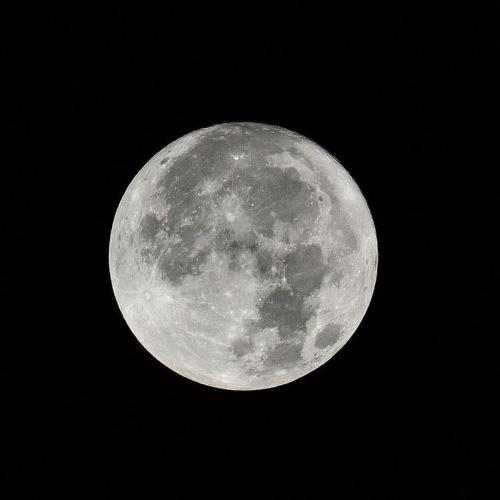 สมาชิกหมายเลข 6762529