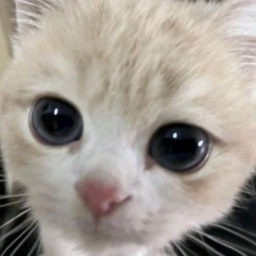 สมาชิกหมายเลข 7466789