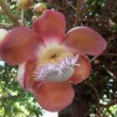 สมาชิกหมายเลข 3978327