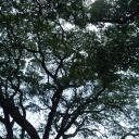 สมาชิกหมายเลข 3978754