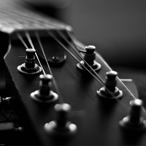 สมาชิกหมายเลข 4278134