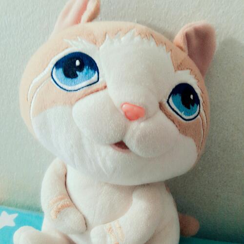 สมาชิกหมายเลข 4791544