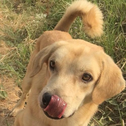 สมาชิกหมายเลข 3971553