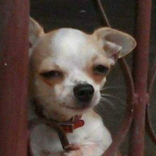 สมาชิกหมายเลข 5576532