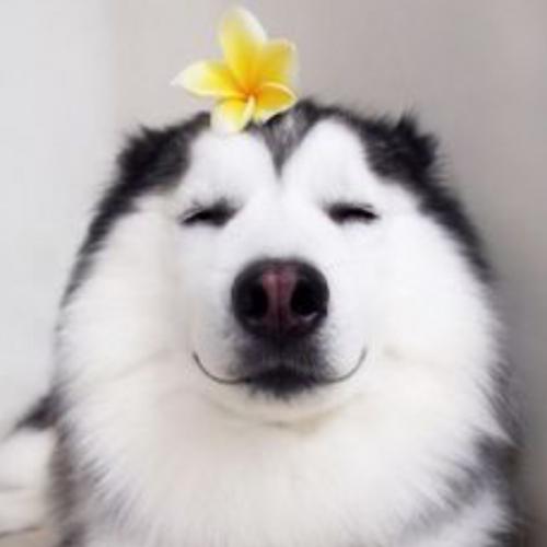 สมาชิกหมายเลข 6084015