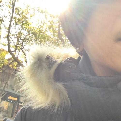 สมาชิกหมายเลข 4452512