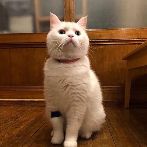 สมาชิกหมายเลข 5167354