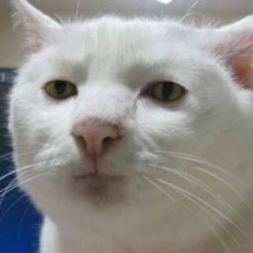 สมาชิกหมายเลข 2646910