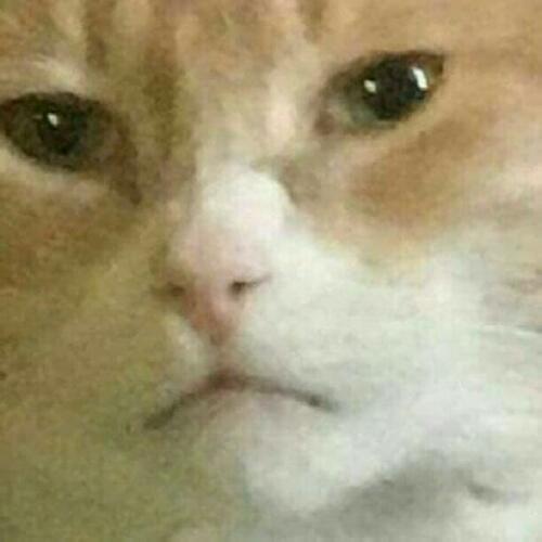 สมาชิกหมายเลข 5547698