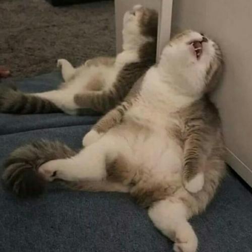 สมาชิกหมายเลข 5576884