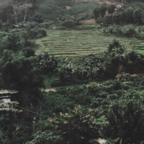 สมาชิกหมายเลข 3259395