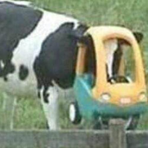 สมาชิกหมายเลข 7532376