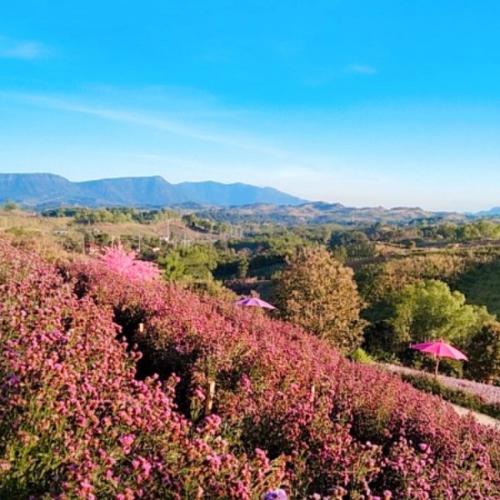 สมาชิกหมายเลข 7532401