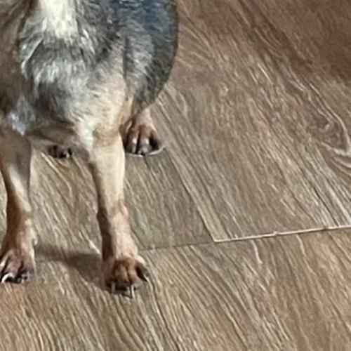 สมาชิกหมายเลข 7532563