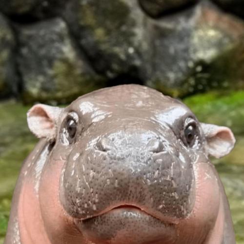 สมาชิกหมายเลข 8443385