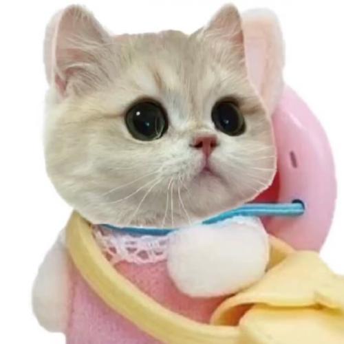 สมาชิกหมายเลข 8444067