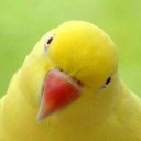 สมาชิกหมายเลข 2695641