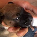 สมาชิกหมายเลข 3364879