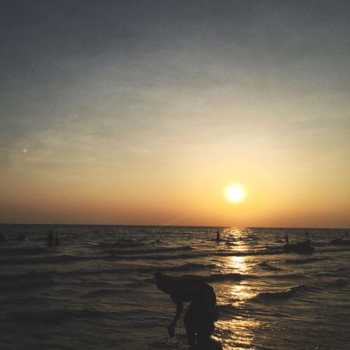 สมาชิกหมายเลข 4231613