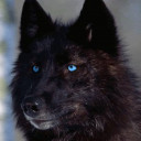 สมาชิกหมายเลข 2286858