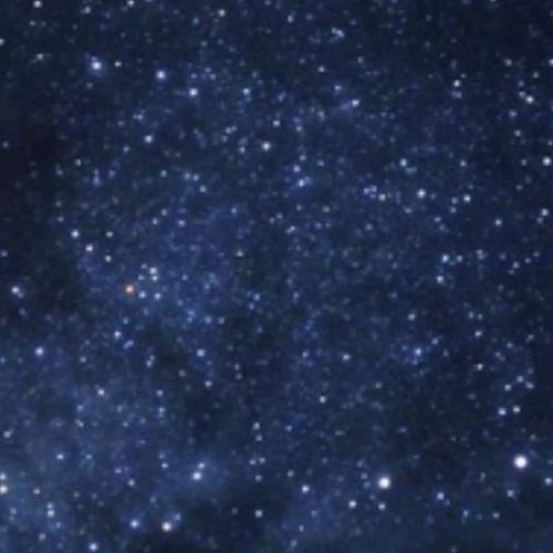 สมาชิกหมายเลข 5171694