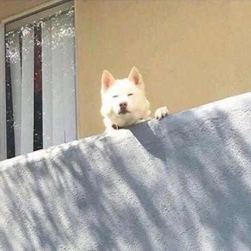 สมาชิกหมายเลข 5172012