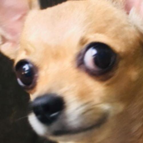 สมาชิกหมายเลข 5577520