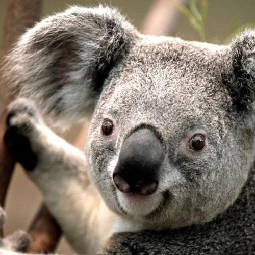 ยาพิษในปัจจัยสี่