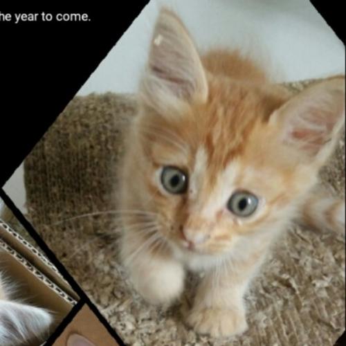 สมาชิกหมายเลข 6137880