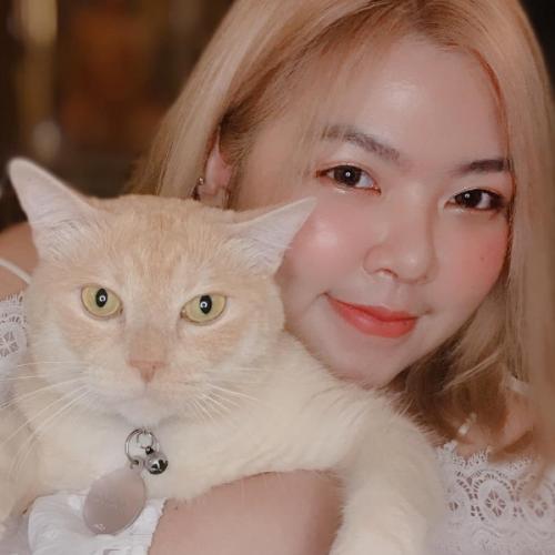 สมาชิกหมายเลข 6138124