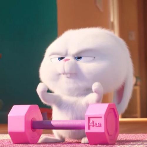 สมาชิกหมายเลข 6138224