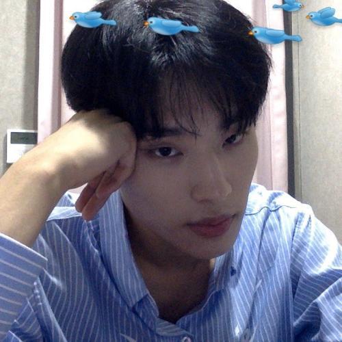 สมาชิกหมายเลข 6231155