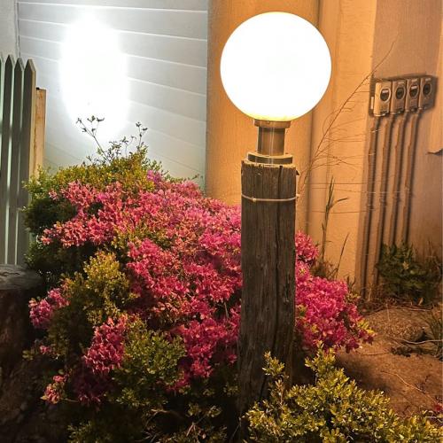 สมาชิกหมายเลข 1614890