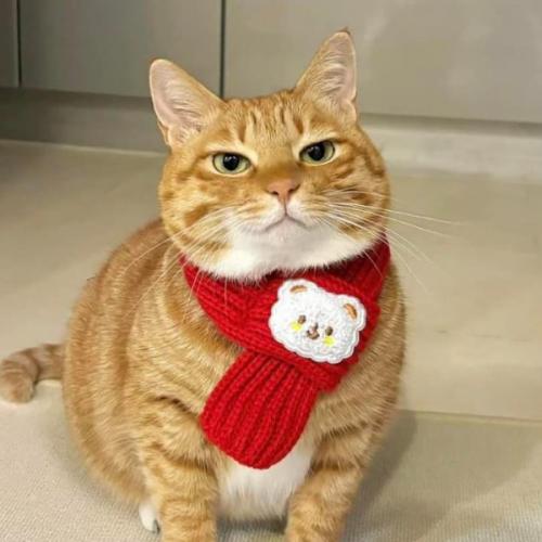 สมาชิกหมายเลข 8444622