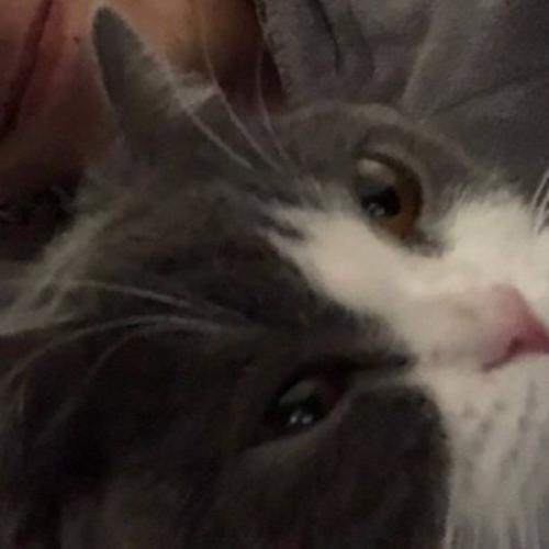 สมาชิกหมายเลข 8444778