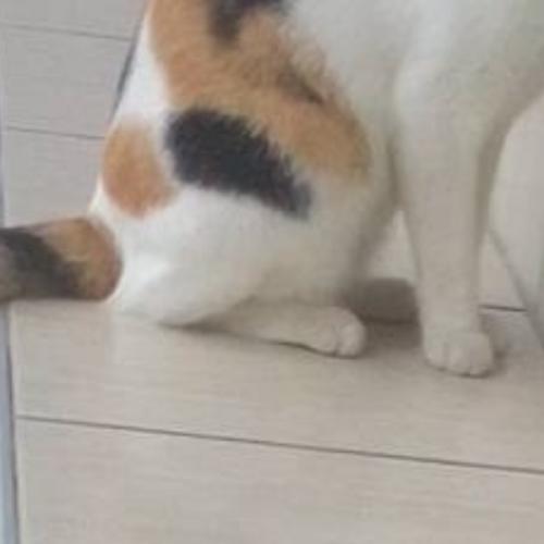 สมาชิกหมายเลข 8444791