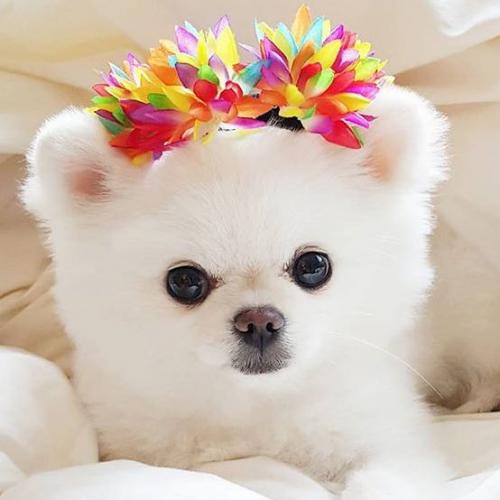 สมาชิกหมายเลข 3667931