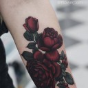 สมาชิกหมายเลข 3980261