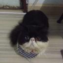 สมาชิกหมายเลข 998831