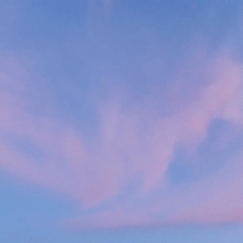 สมาชิกหมายเลข 4793048