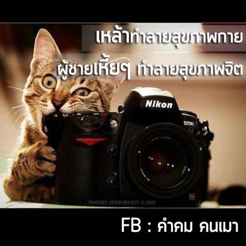 สมาชิกหมายเลข 4793262