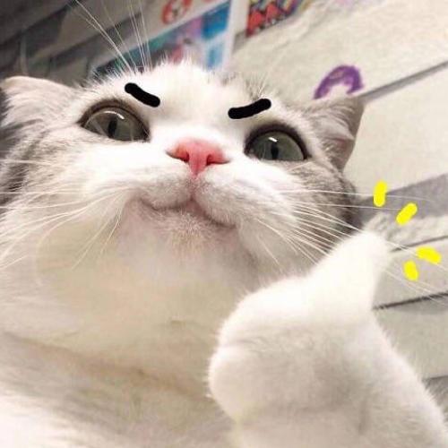 สมาชิกหมายเลข 5167849