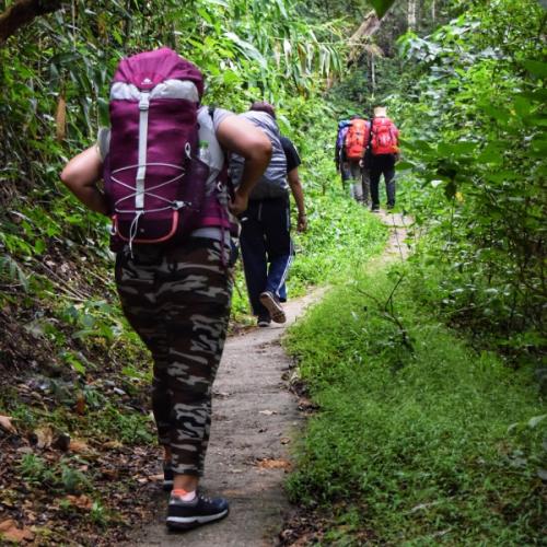 สมาชิกหมายเลข 1744117