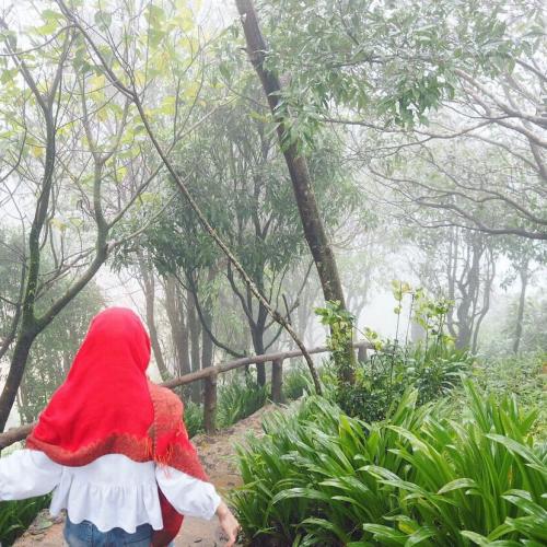 สมาชิกหมายเลข 3827530