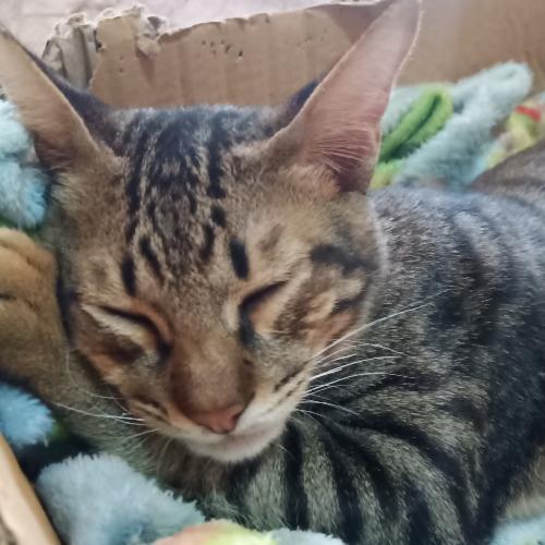 สมาชิกหมายเลข 2293563