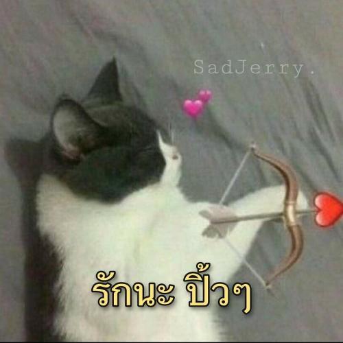 สมาชิกหมายเลข 5923729